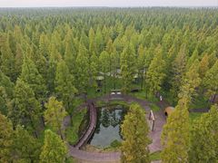 -黄海国家森林公园