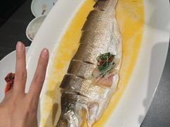 大湖白鱼-湖里春风·淮扬菜(丽泽天街店)