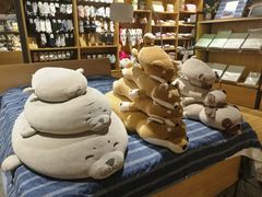 -九木杂物社(恒隆广场店)