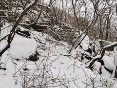 -香山公园