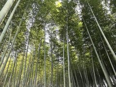 -陶祖圣境风景区