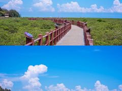 -北海金海湾红树林生态旅游区