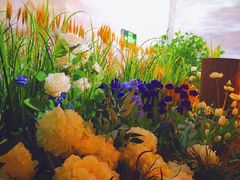 -印象莫奈时光映迹艺术展