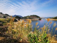-广州市流溪河国家森林公园