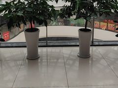 -偶屋里钵少爷(时代广场店)