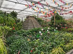 -南宫五洲植物乐园