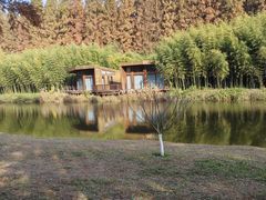 -黄海国家森林公园