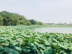 -开封府