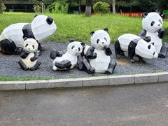 -日照海滨国家森林公园