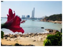 -南丫岛