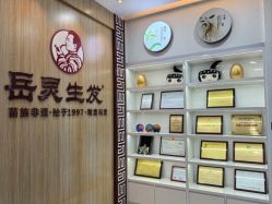 -岳灵生发养发馆