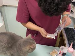 -宠福鑫康馨动物医院·骨科·眼科