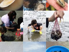 -日照灯塔风景区