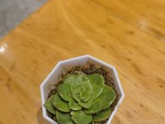 -岩姐撸串儿·地摊老烧烤(漕宝路店)