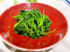 泉水时蔬-西郊5号·Maggie 5