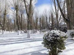 -宗角禄康公园