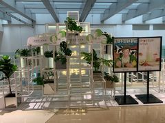 景观位-叶子与茶(苏宁广场店)