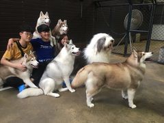 -TrueLove @ Neverland (Husky Cafe)