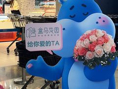 -盒马鲜生(皇庭广场店)