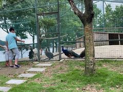 -宁波九龙湖开元度假村