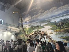 -自贡恐龙博物馆