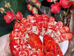 -京城阁·南门涮羊肉.小龙虾烧烤(松江九亭店)