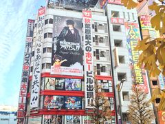 -秋叶原电器街