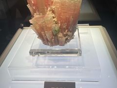 -安徽省地质博物馆