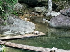 -大鄣山卧龙谷景区