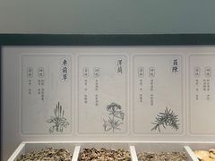 -中国湿地博物馆