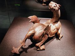 -重庆中国三峡博物馆(重庆博物馆)