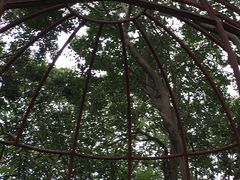 -江湾体育中心游泳馆