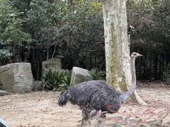 -上海动物园(地铁站)