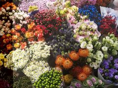 -双季花艺园艺市场(浦东店)