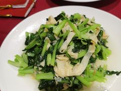 鸡毛菜百叶丝-老吉士酒家(天平路店)