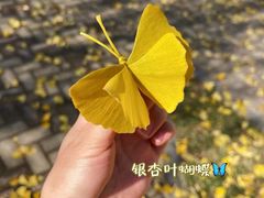 -桂林古东瀑布景区