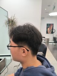 -YESIDO椰岛造型