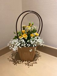 -大美臻喜母婴(重庆创始店)