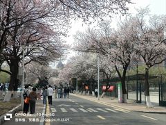 -吉林大学(南岭校区)