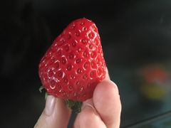 -巴莉甜甜(兴园小区店)