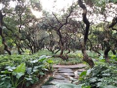 -黄埔荔枝公园