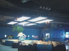 -重庆欢乐海底世界