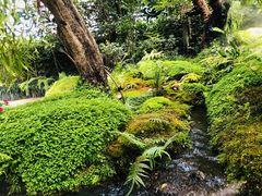 -Chom Cafe and Restaurant