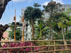 -西双版纳勐泐文化旅游区