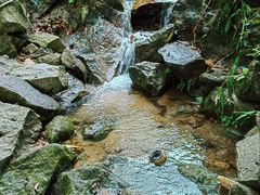 -火炉山森林公园