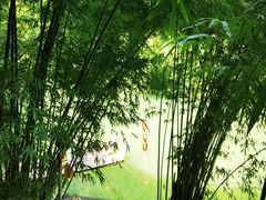 -三峡人家风景区