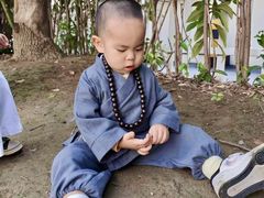 -蒙蒙狮蒙台梭利儿童之家