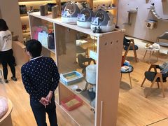 -Pets First伊珊娜洗护·精致美容·家庭式寄养(新会路店)