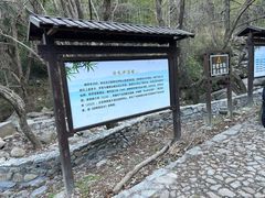 -白水冲瀑布