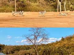 -杭州野生动物世界